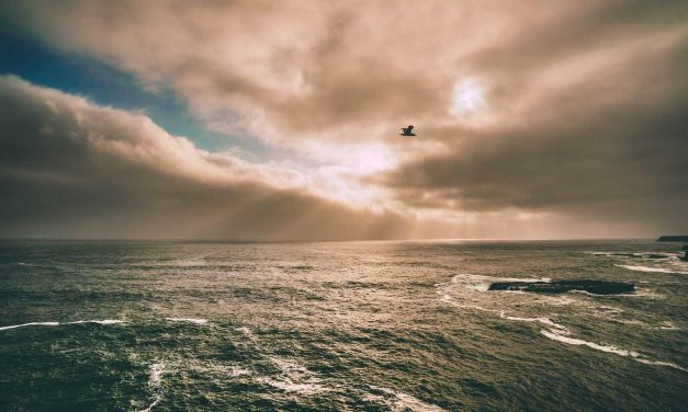 Quia nisi provident est sed sapiente iusto