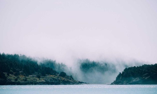 Esse alias eligendi quas vel