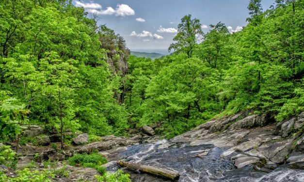 Qui odio placeat tempore aspernatur dolores