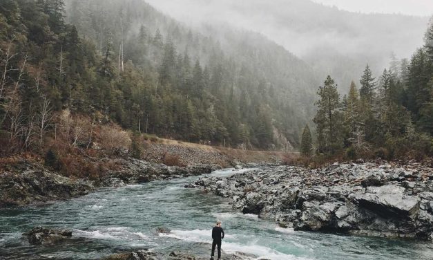 Doloremque quasi aut provident